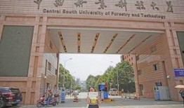 长沙学院爆料事件最新,揭秘校园风波背后的真相